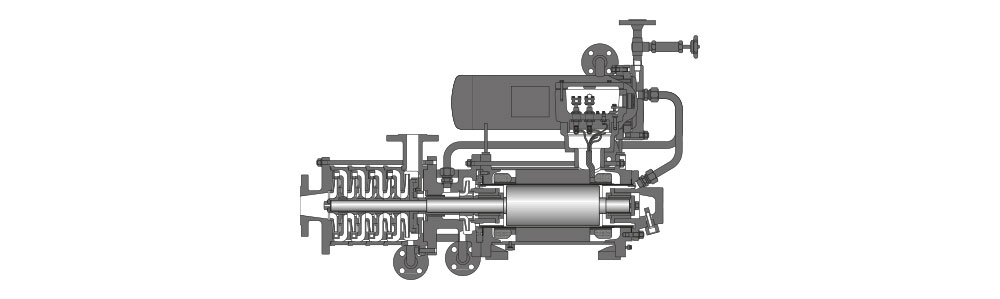 Type CAMKr Cross-section diagram of a canned motor pump with explosion protection, showing internal components and motor assembly.