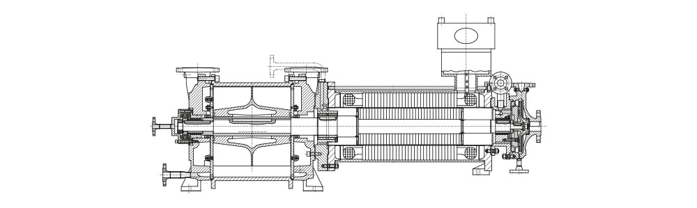 Cross-sectional technical drawing of a multistage vacuum pump showing internal components and assembly details.