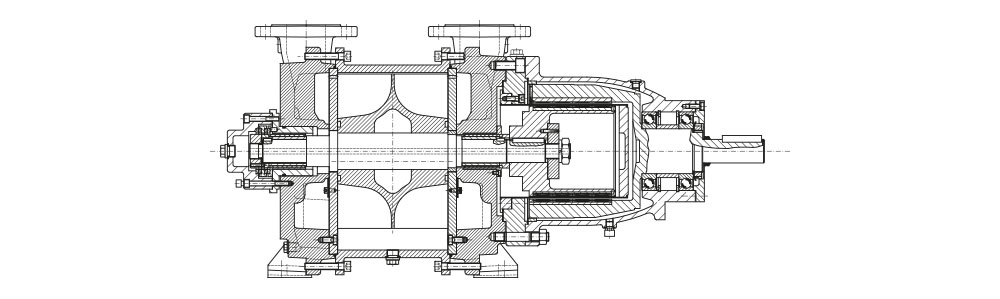 Cross-sectional technical drawing of a multi-stage vacuum pump showing internal components and shaft assembly.
