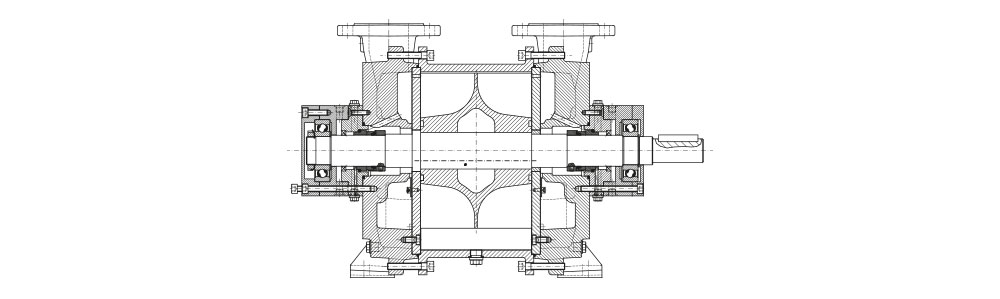 Cross-sectional technical drawing of a double-stage liquid ring vacuum pump showing internal components and shaft.